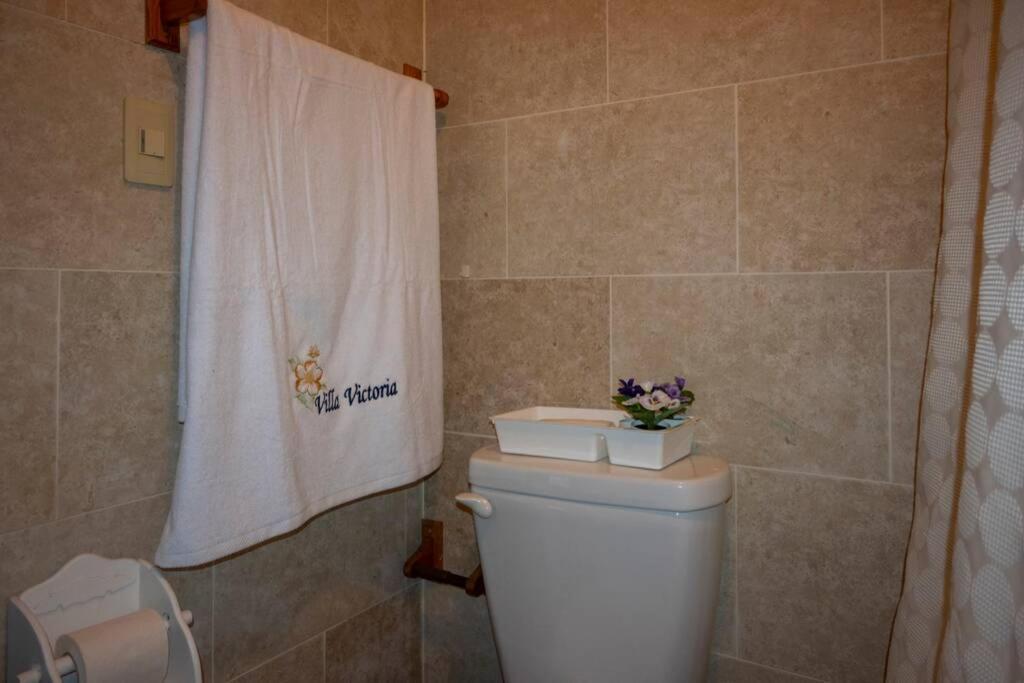 Villa Victoria Jarabacoa Dış mekan fotoğraf