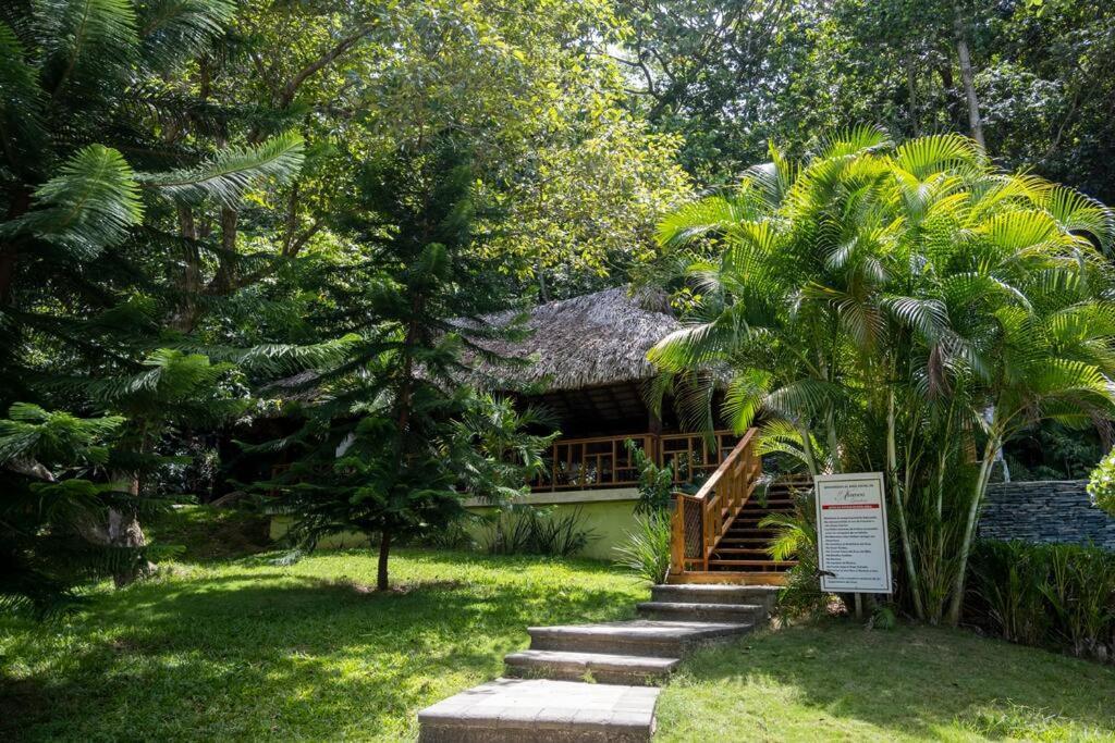 Villa Victoria Jarabacoa Dış mekan fotoğraf